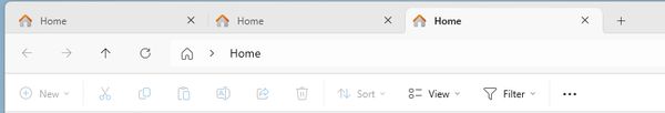 Screenshot of tabs on explorer