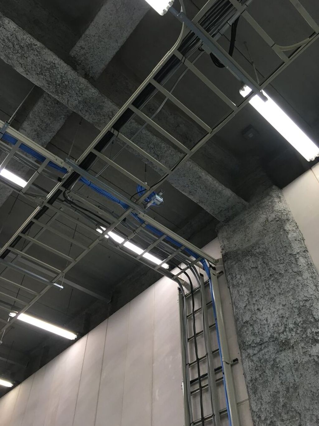 Overhead cable-ladder tray carrying blue LAN backbone cabling along a warehouse ceiling, with cabling dropping down a concrete column in a wire basket tray